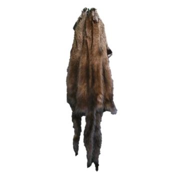 Fisher Pelt - #2 Quality