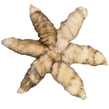 Pastel Mutation Fox Tails/keychains