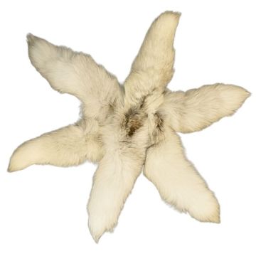 Pale Smokey Mutation - Fox Tail/Keychain 