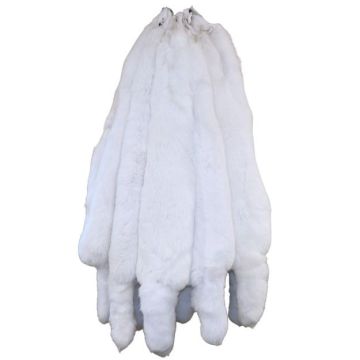 Premium Plus Label SAGA ROYAL (White) Shadow Fox