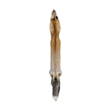 Premium Label Ranch Red Fox Fur Pelt