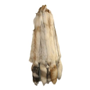 Premium Label Fawn Light Type Designer Fox 