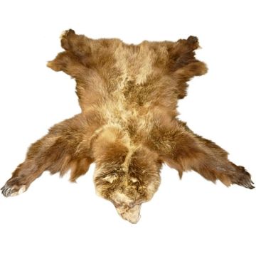 Premium Label Alaskan Grizzly Bear Hide #213005