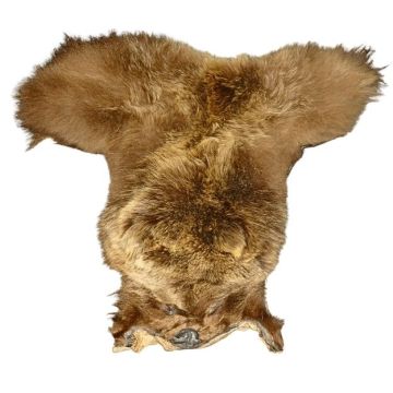 Grizzly Bear Cape #91505