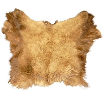 Grizzly Bear Back Skin #93005