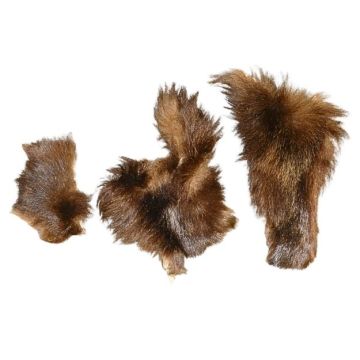 Grizzly Bear Leg Sections