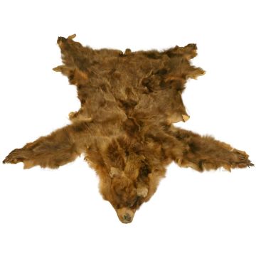 【KOOLOSET】Grizzly Bear Fur Hood Padding Amazon.com : GOODOLD Sitting Bear Pattern Grill Cover for