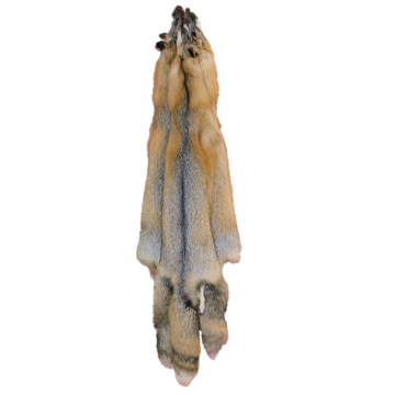 Premium Label Golden Island Fox Pelt