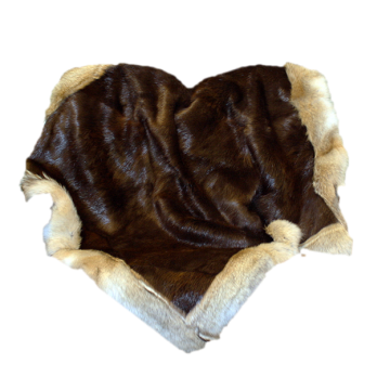 Beaver Fur Blanket - With Coyote Fur Trim - 70" X 57"