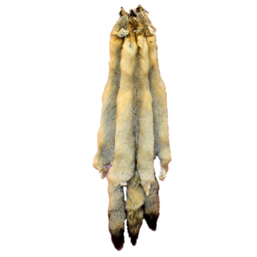Kit Fox - Swift Fox Pelt