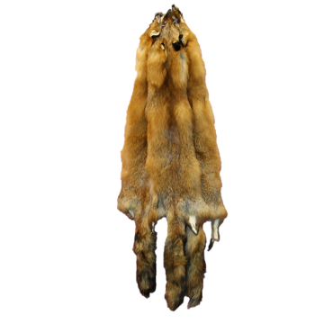 Glacier Wear - Search results for: 'honei fox'