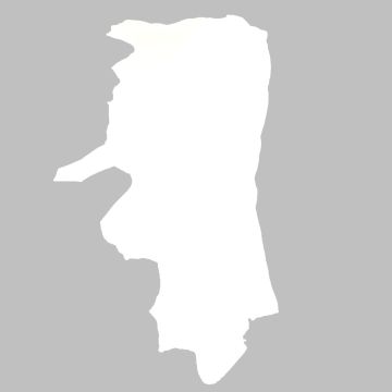 Cow Leather - Bright White