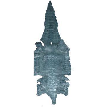 Genuine Caiman Leather - Gray