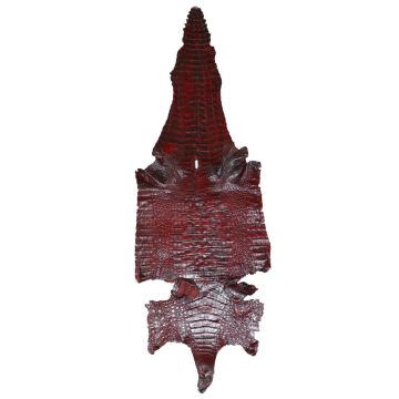Genuine Caiman Leather - Black Cherry