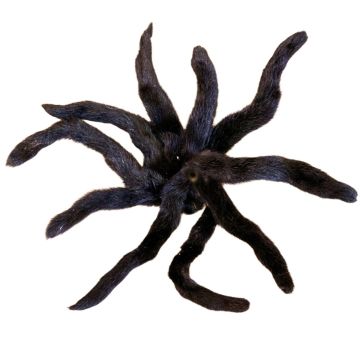 Black Ranch Mink Tails - (qty 2)