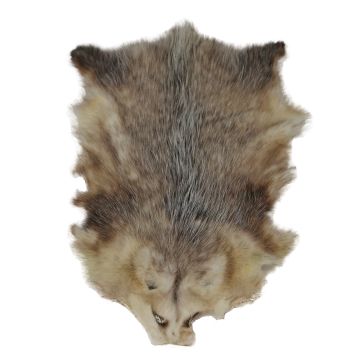 North American Opossum Fur Pelt