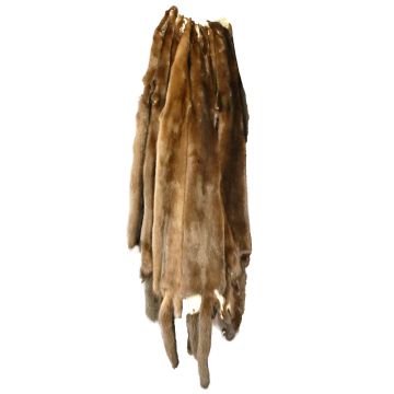 Premium Label North American Ranch Demi/Wild Female Mink Pelt