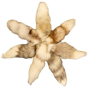 Platinum Red Fox Mutation Fox Tail 