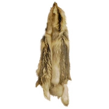 Moonlight Finn Raccoon Pelt - Saga Royal