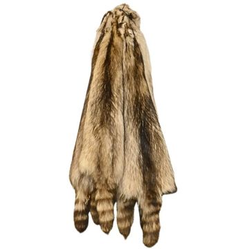 Polar Raccoon Pelt 