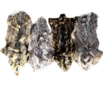 Craft Opossum Fur Pelt (Lot of 5)