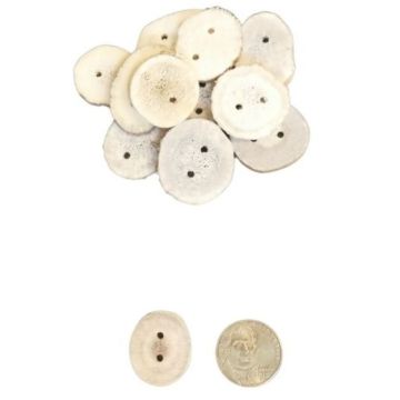 Deer Antler Button - Nickel Size (QTY 6) 