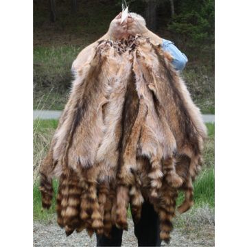 Raccoon Pelt - Sunset 