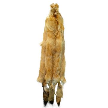 Coyote Pelt - Red 