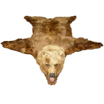 Alaskan Grizzly Bear Rug #rgg12800