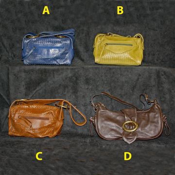 Avignon Leather Purses - Set26