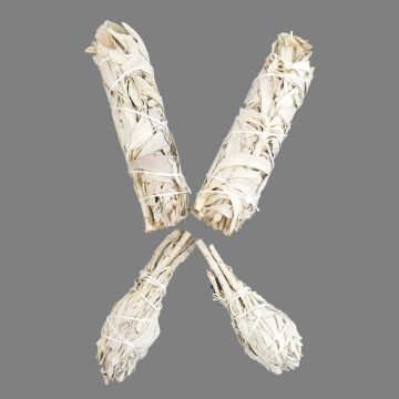 White Sage Bundle