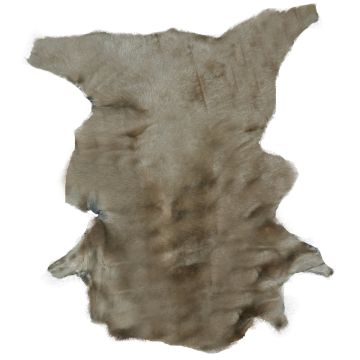 Long-Hair Tuscan Lamb -  Moss