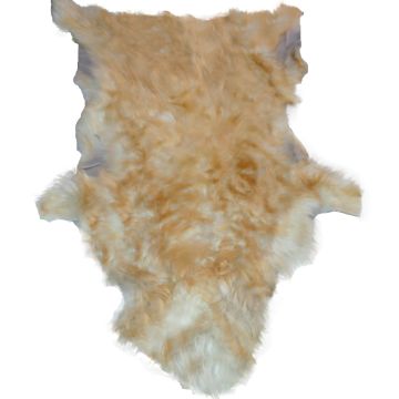 Long-Hair Tuscan Lamb - Gold Highlights