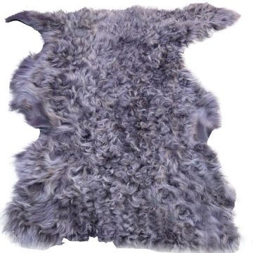 Long-Hair Tuscan Lamb - Purple Highlights