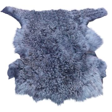 Long-Hair Tuscan Lamb - Blue Highlights