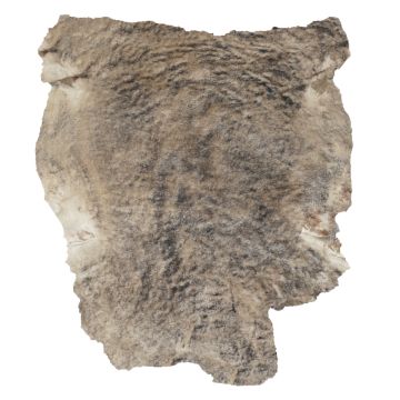 Brown- Swirl Shearling - Tan Nappa Back