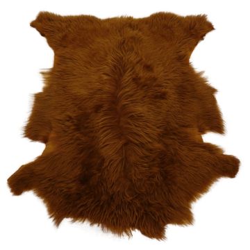 Long-Hair Tuscan Lamb - Ginger Brown