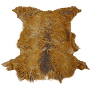 Long-Hair Tuscan Lamb - Bronze Tipped Purple