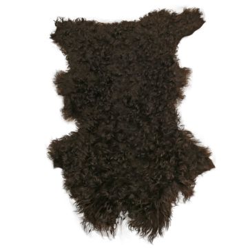 Long-Hair Tuscan Lamb - Hickory Brown