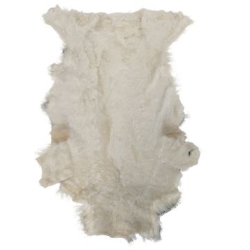 Sheared Tan Tuscan Lamb - Tan Back