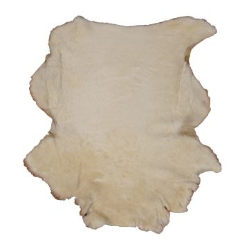 Sheared Beige Shearling - Squash Blossom Back