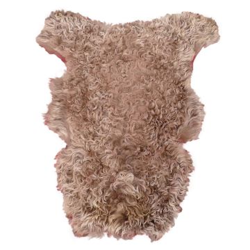 Long-Hair Tuscan Lamb - Curly Pinkish Brown Hair