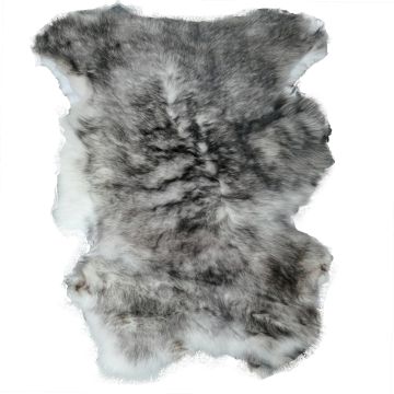 Long-Hair Tuscan Lamb - White with Black Tips (Heavy)