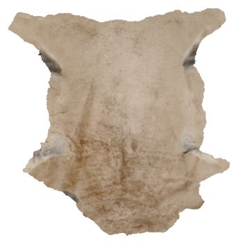 Sheared Tuscan Lamb - Dark Beige