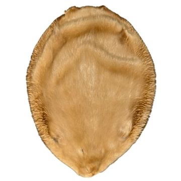 Beaver Pelt - Strawberry Blonde