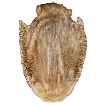 Beaver Pelt - Tobacco 