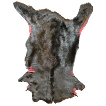 Long-Hair Black Tuscan Lamb - Suede Back Color Varies