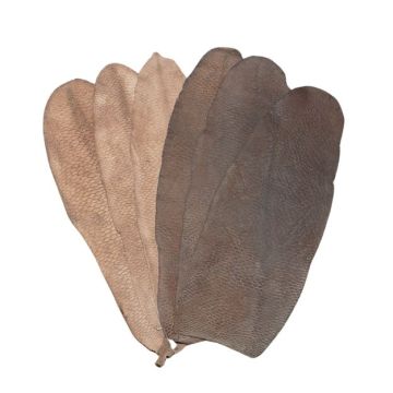 Beaver Tail Leather - Unfinished