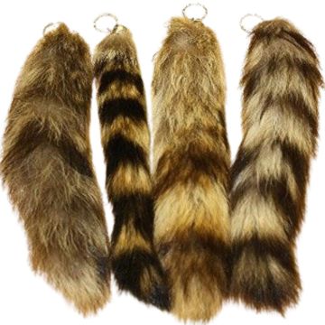 Imported Raccoon Tail Keychain