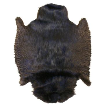 Beaver Pelt - Natural Black 